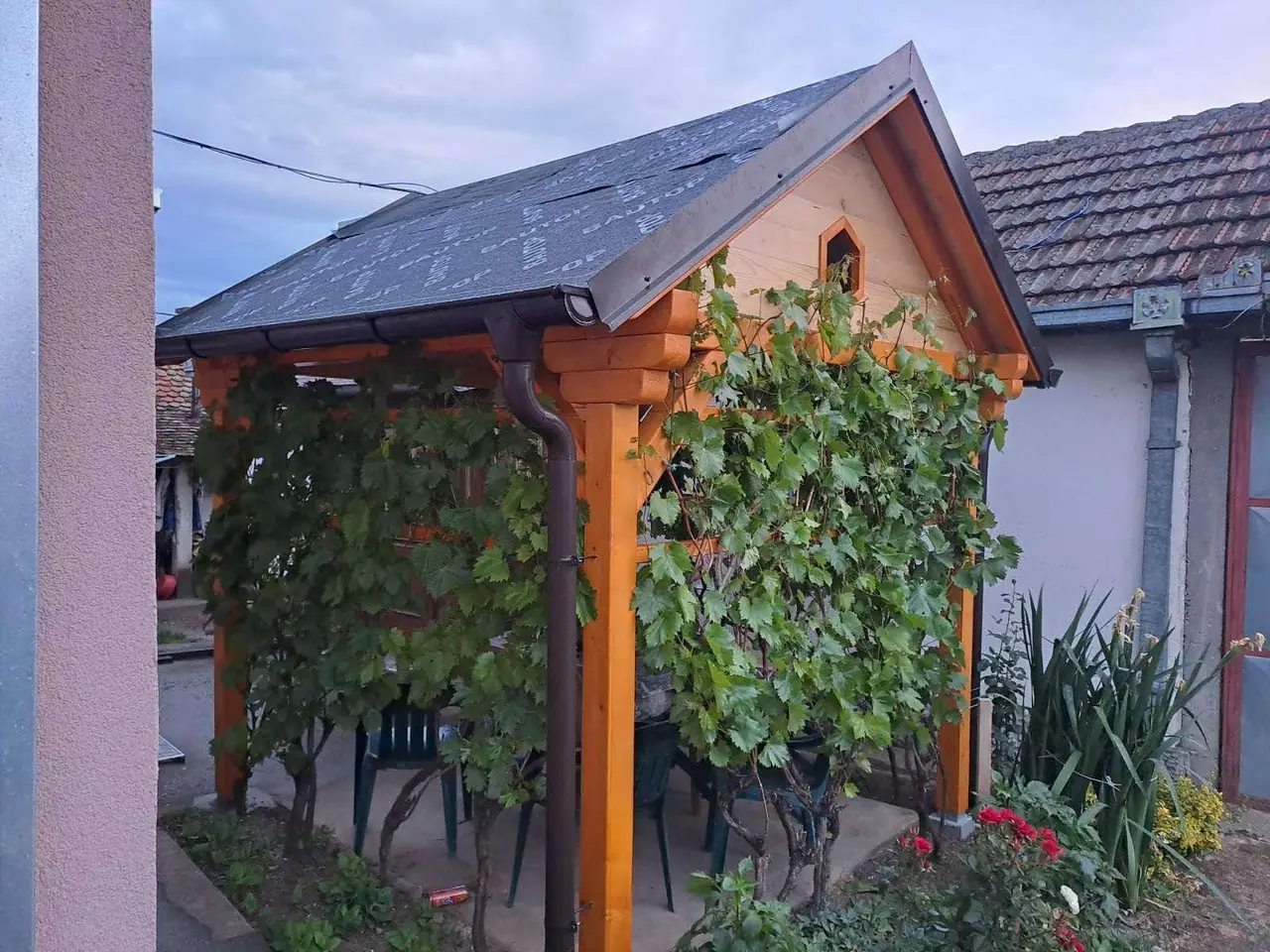 Letnjikovac sa dvovodnim krovom, obrastao vinovom lozom, uz zid kuće